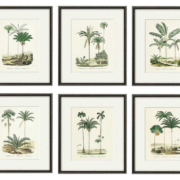 Palm Tree Wall Art Print Pair Etsy — free download
