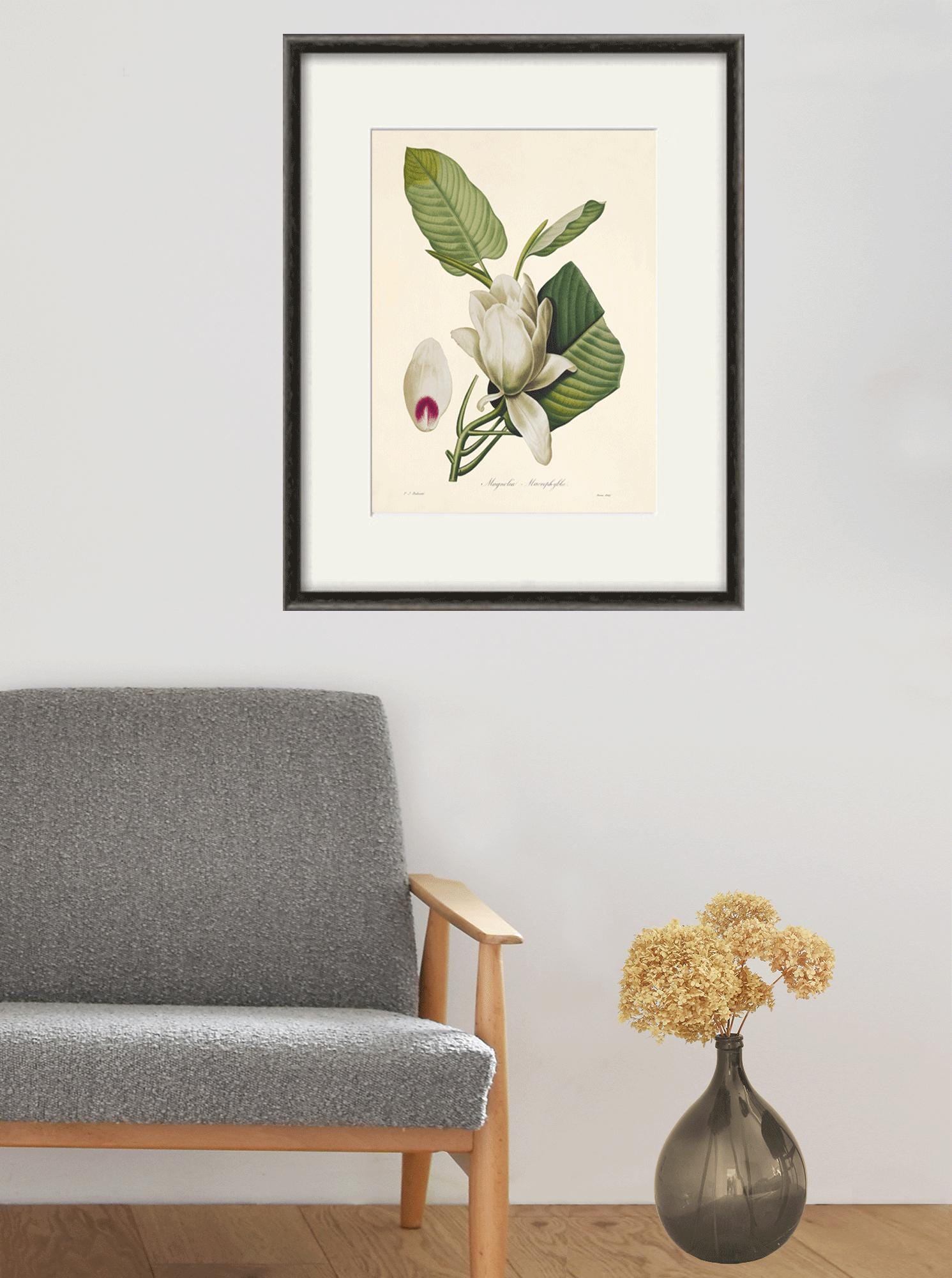 Vintage Magnolia Print: French Botanical Art, Victorian Garden