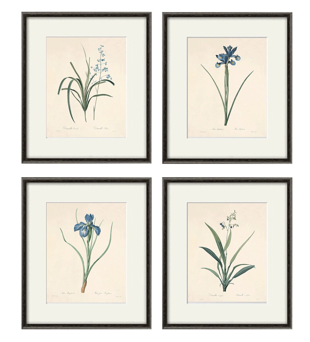 Blue Botanical Prints Vintage Flower Art Cottage Wall Art Victorian ...