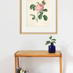 May include: A framed botanical illustration of a pink rose with green leaves and buds. The illustration is on a white background with a light brown frame.
