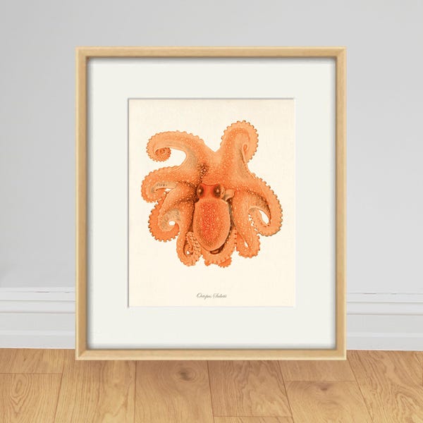 Vintage Octopus Art Print: Coastal Wall Art, Nautical Ocean Decor