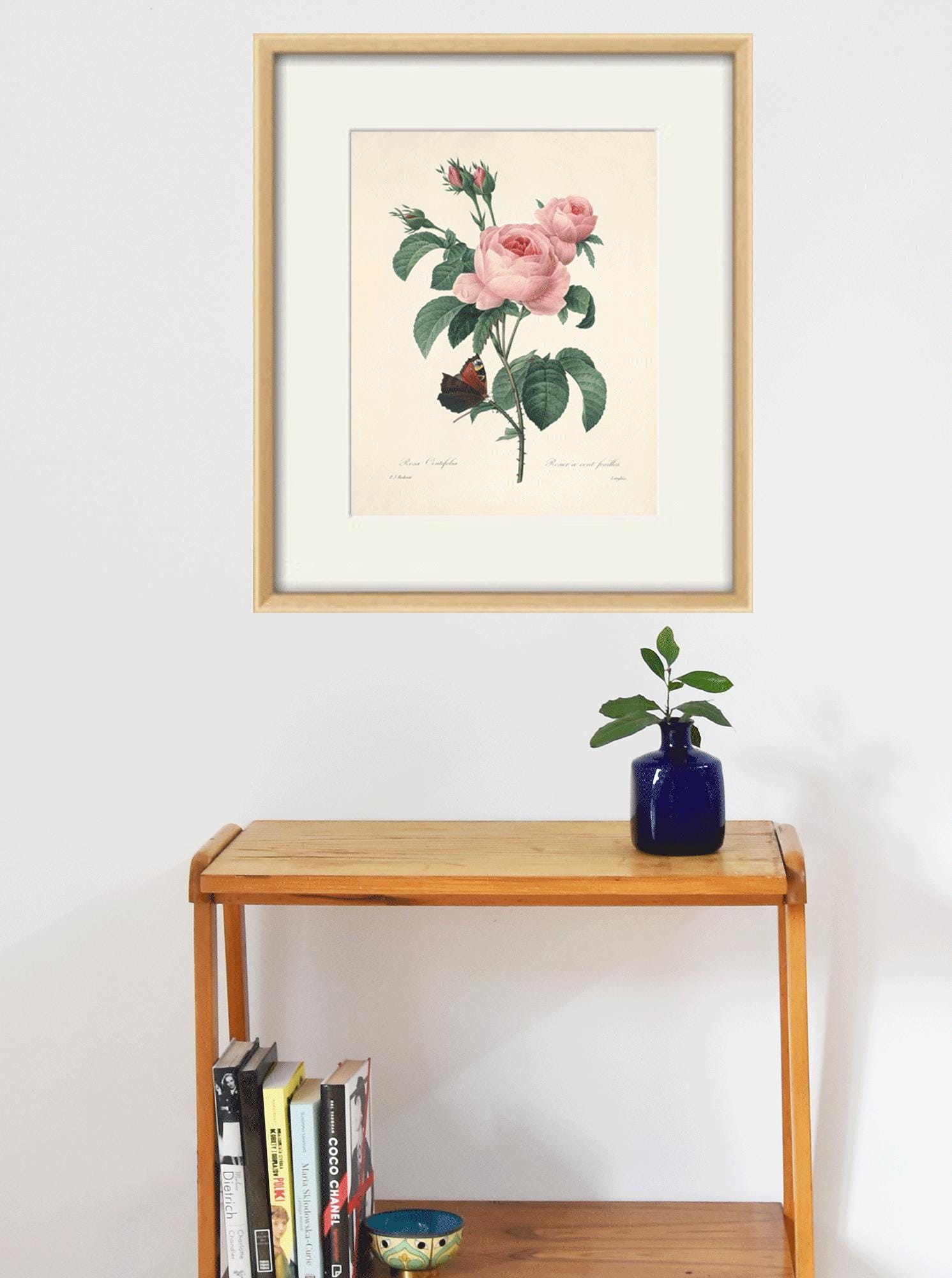 Antique Rose Art Print: Botanical Wall Decor - Etsy Israel