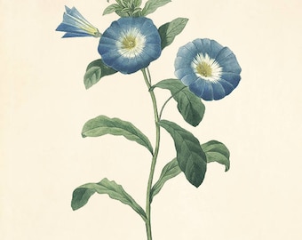 Antique Blue Flower Print: Victorian Botanical Wall Art