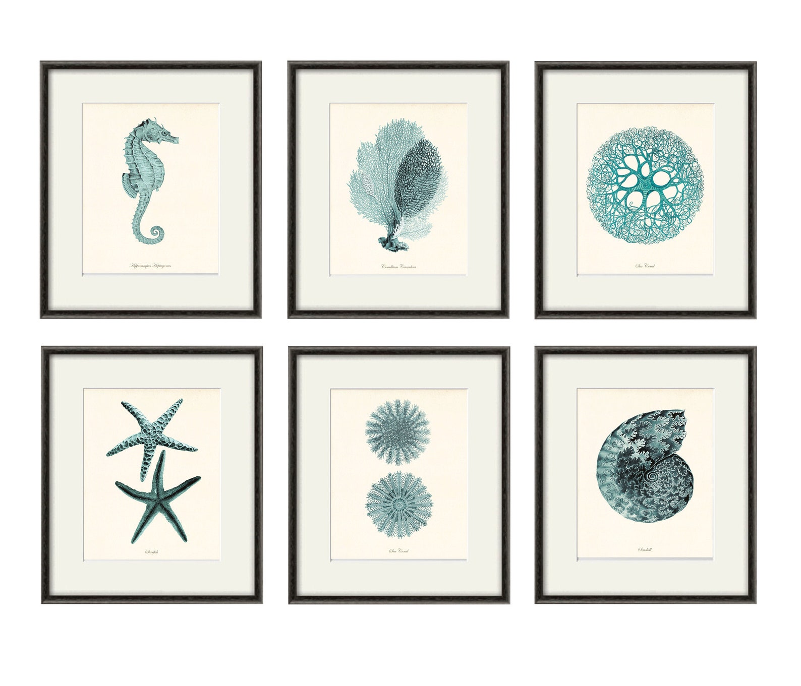 Blue Sea Coral Art Nautical Print Set Sea Art Print Vintage Etsy