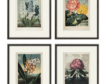 Antique flower art print set antique prints botanical art prints flower wall art Victorian art French prints old prints garden wall art