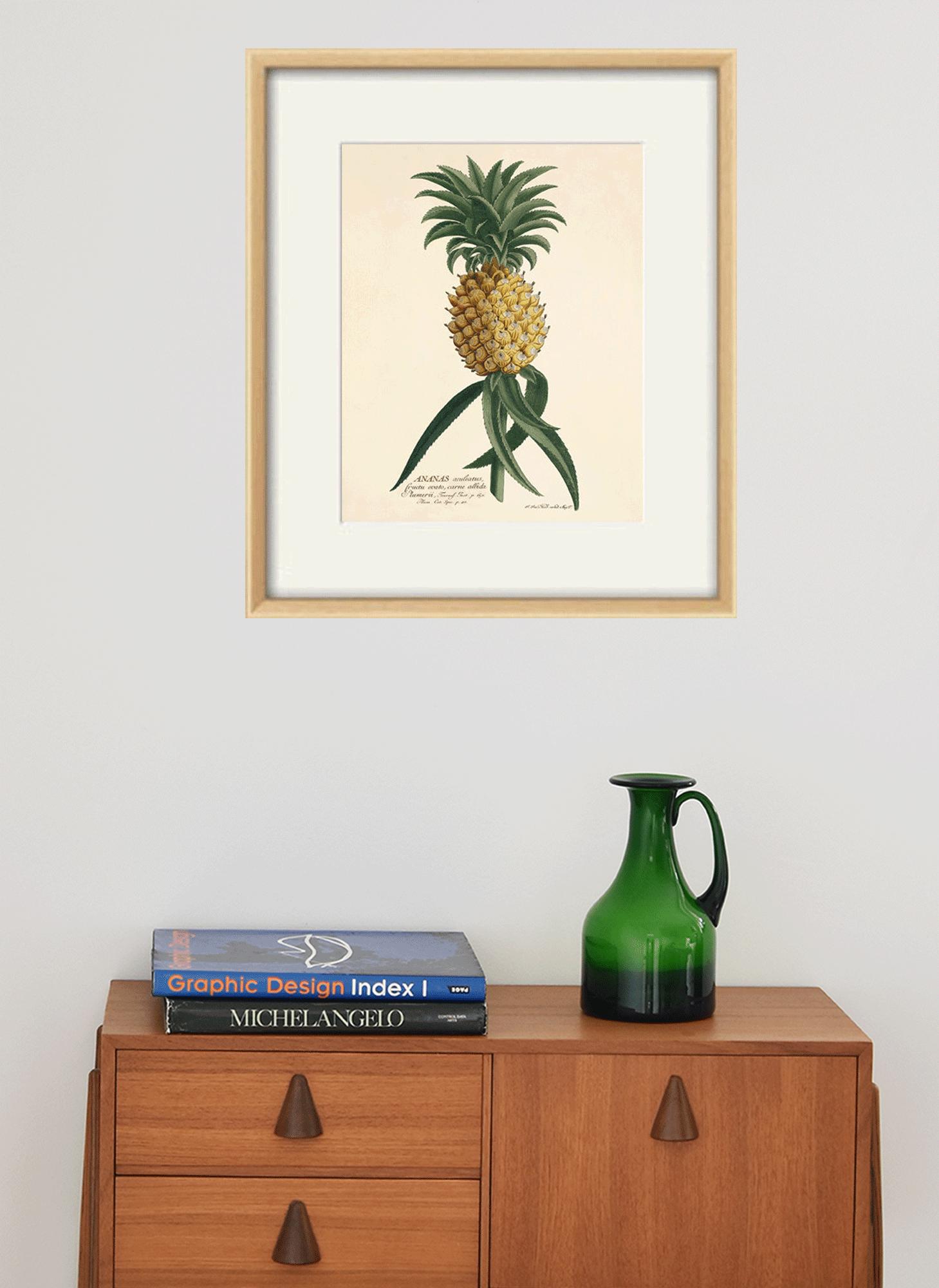 Vintage Pineapple Print: French Botanical Art, Victorian Decor - Etsy