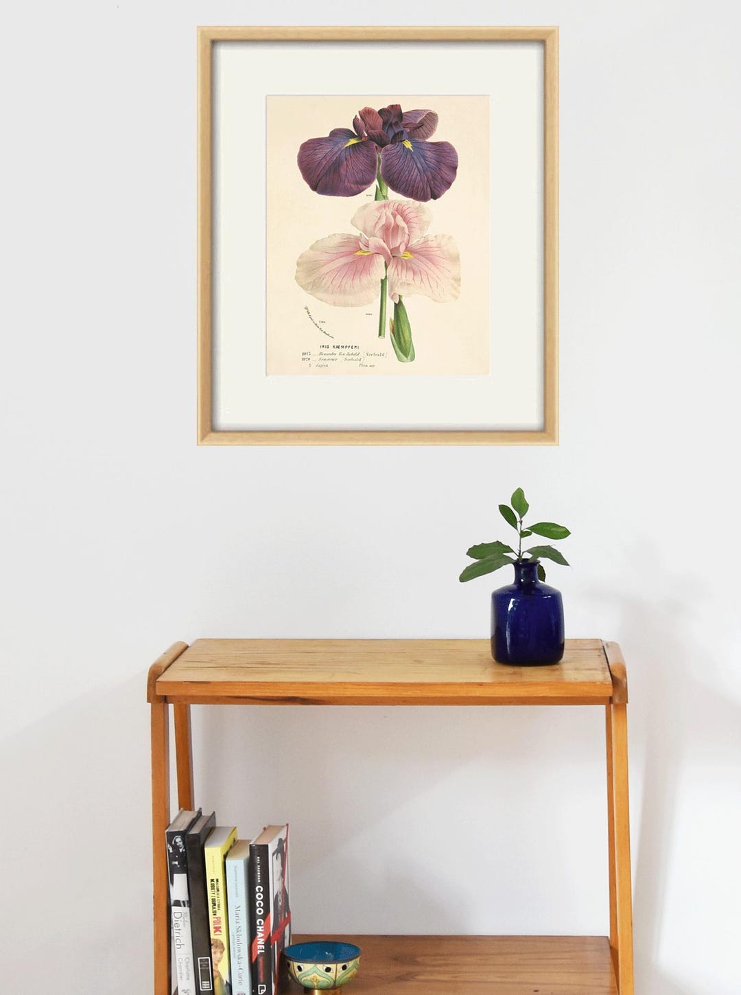 Vintage Iris Botanical Art Print: Antique Victorian Garden Decor