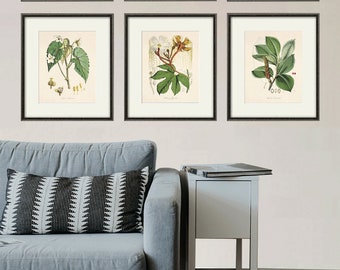 White flower art Botanical Print Set of 2 Antique flower art print antique wall art Flower decor Garden print Victorian art Cottage wall art