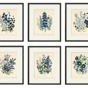 Antique botanical prints SET of 6 Botanical art prints flower prints wall art flowers botanical poster antique wall art home decor wall art