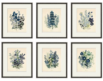 Láminas botánicas antiguas: Decoración floral francesa para pared, juego de 6