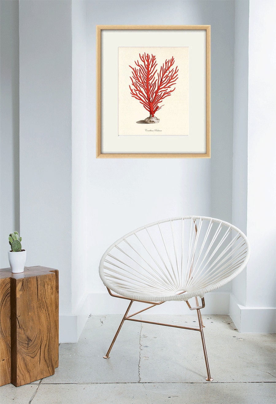 Sea Coral Art Print Vintage Sea Art Print Old Prints Nautical Etsy