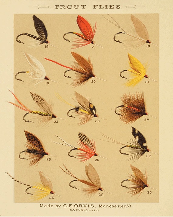 Trout Flies Fishing Print Fly Fishing Art Fishing Decor Art Old Prints Lake  Cabin Decor Antique Prints Fishing Wall Art Home Decor Wall Art 