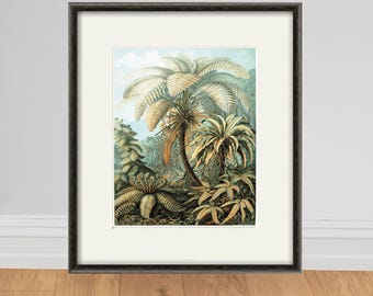Antique Palm Botanical Art Print: Victorian Jungle Home Decor