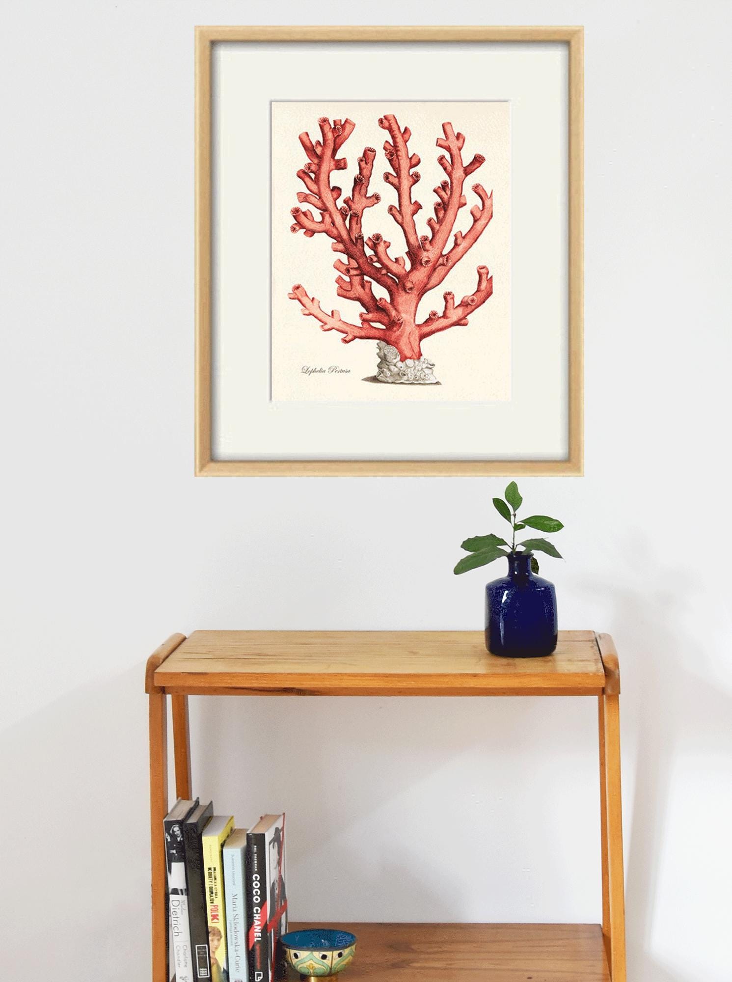 ヴィンテージの赤珊瑚アートプリント：アンティークな海のイラスト