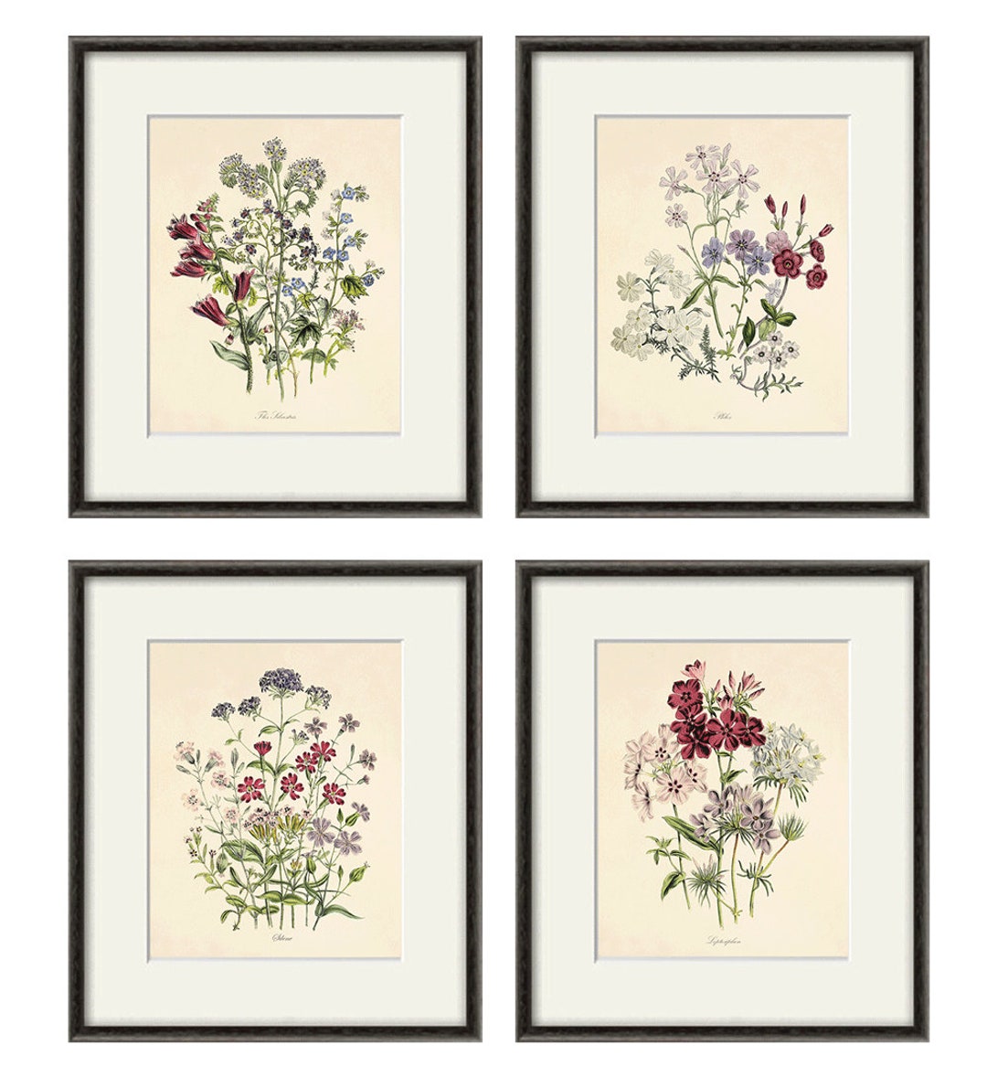 Antique Botanical Prints Set of 4: French Floral Wall Art - Etsy
