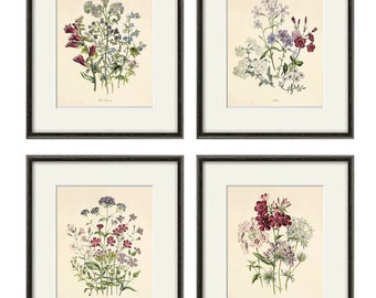 Antique Botanical Prints Set of 4: French Floral Wall Art