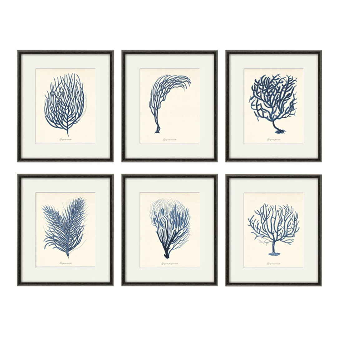 Nautical Art Print Navy Blue Art Sea Coral Art Print Set of 6 Antique