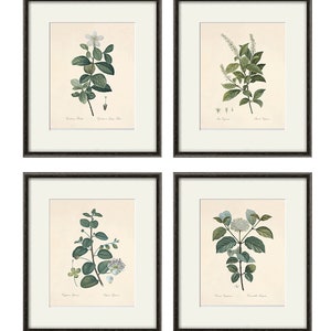 Botanical print set leaf art print French Botanical art print Cottage wall art leaf wall art plants art print botanical wall art leaf print