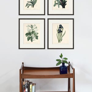 May include: Four framed botanical prints featuring different flowers. The prints are in black frames and are hung on a white wall. A wooden shelf with books and a blue vase with a green plant is below the prints.