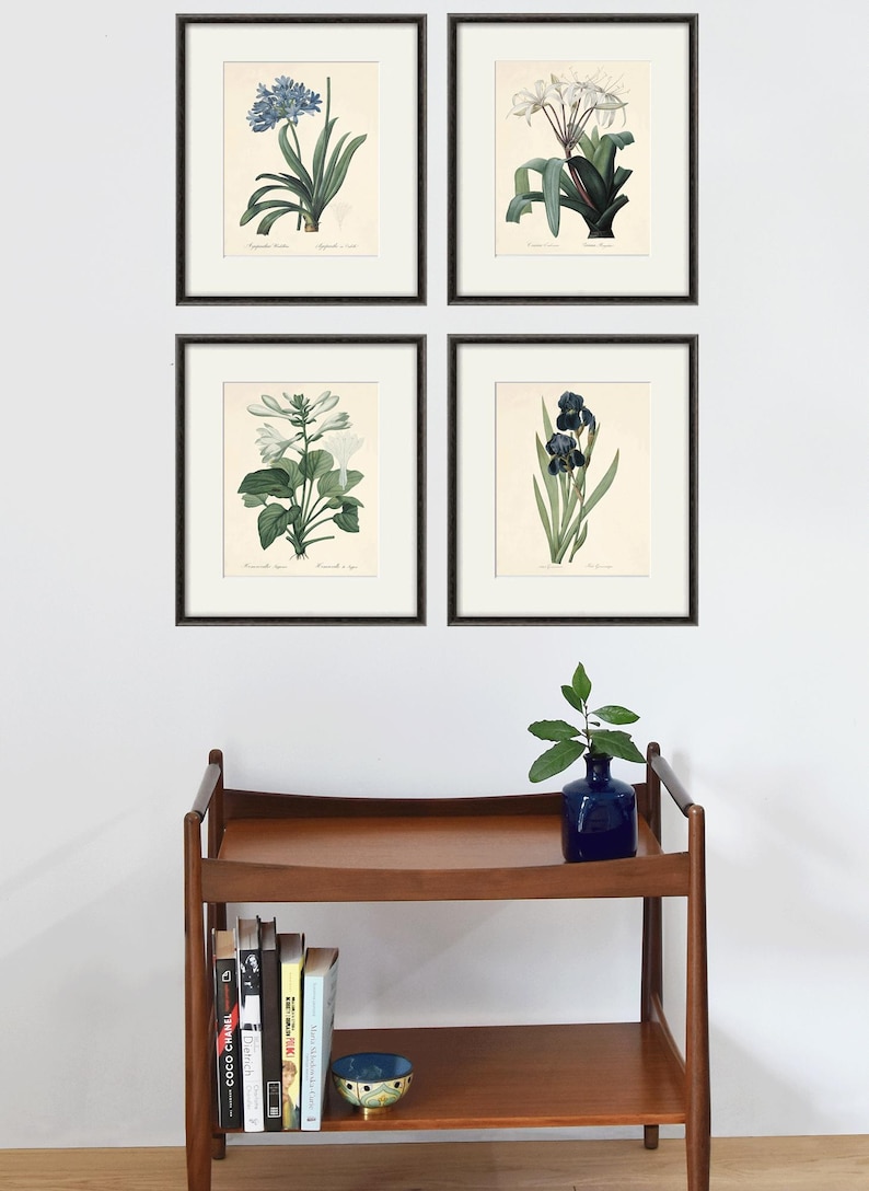 May include: Four framed botanical prints featuring different flowers. The prints are in black frames and are hung on a white wall. A wooden shelf with books and a blue vase with a green plant is below the prints.