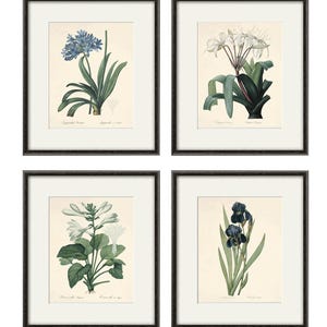 May include: Set of four framed botanical prints featuring detailed illustrations of flowers. The prints are in black frames with white mats and feature a blue flower, a white flower, a white flower with green leaves, and a purple flower.