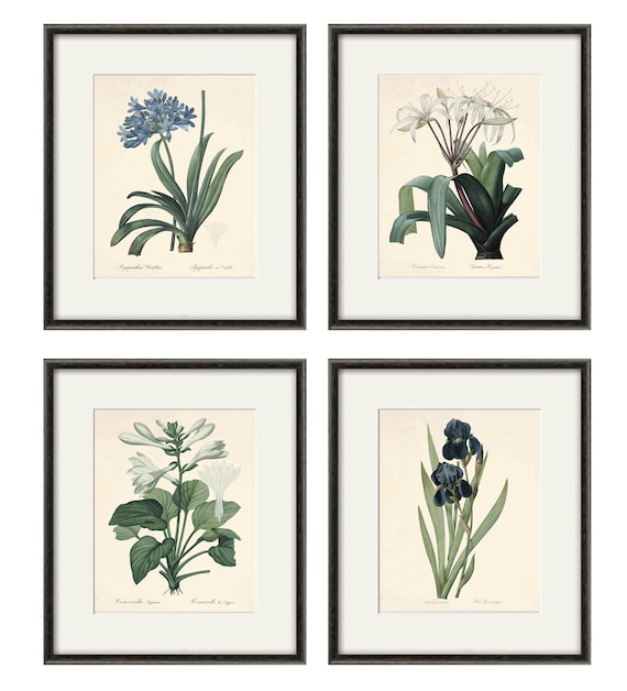 Antique flower art Print set antique prints botanical prints flower wall art Victorian art French prints old prints garden wall art set of 4