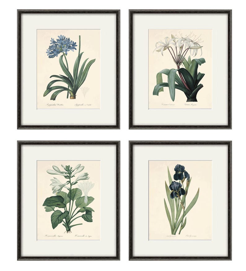 May include: Set of four framed botanical prints featuring detailed illustrations of flowers. The prints are in black frames with white mats and feature a blue flower, a white flower, a white flower with green leaves, and a purple flower.