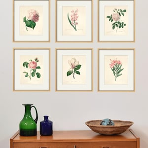 Antique flower art Print set antique prints pink botanical prints flower wall art Victorian art French prints old prints garden wall art
