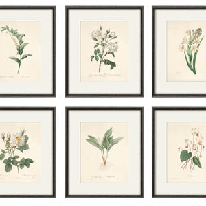 Antique botanical print Botanical art prints flower prints wall art flowers botanical poster antique wall art home decor wall art SET of 6