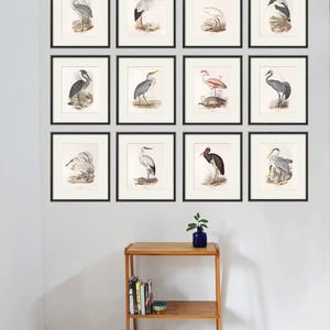 Stampa artistica da parete con uccelli, stampa artistica con uccelli, stampa artistica con la natura, poster, stampa artistica da parete, arte vittoriana, vecchie stampe, set di stampe artistiche da parete con giardino