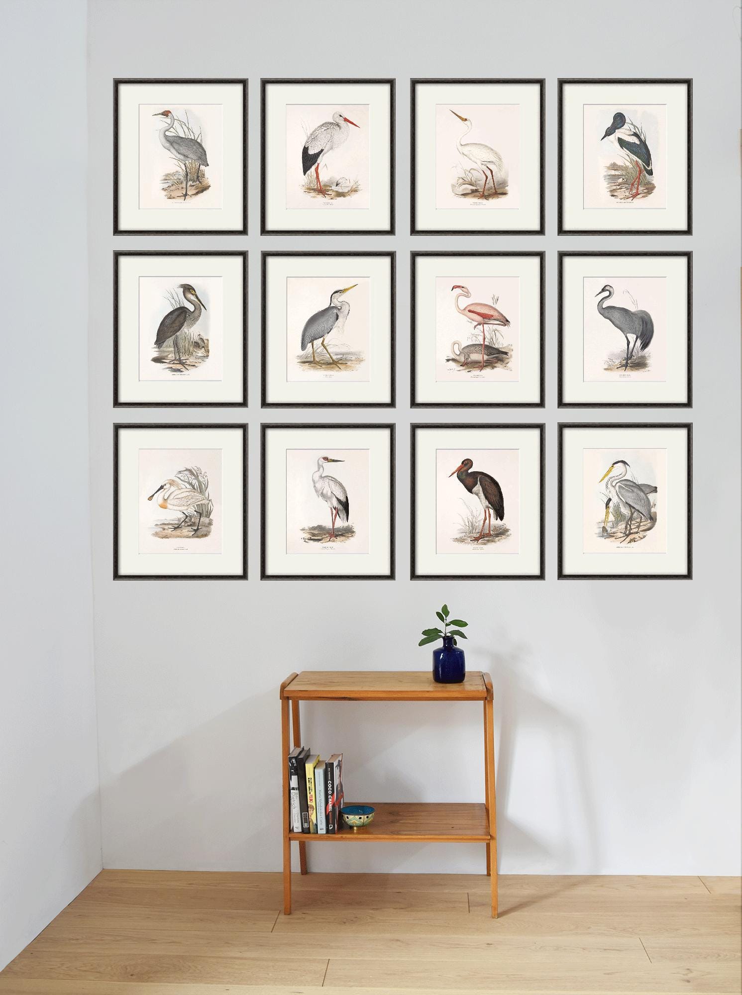 Antique Bird Print Set: Victorian Nature Wall Art - Etsy