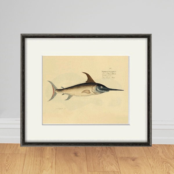 Vintage Swordfish Print: Nautical  Art Ocean wall Decor Beach