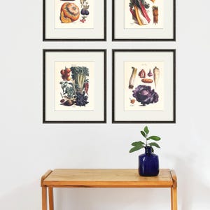 Plantaardige kunst print antieke botanische print groente print keuken kunst print antieke muur kunst keuken poster keuken wordt afgedrukt groente decor