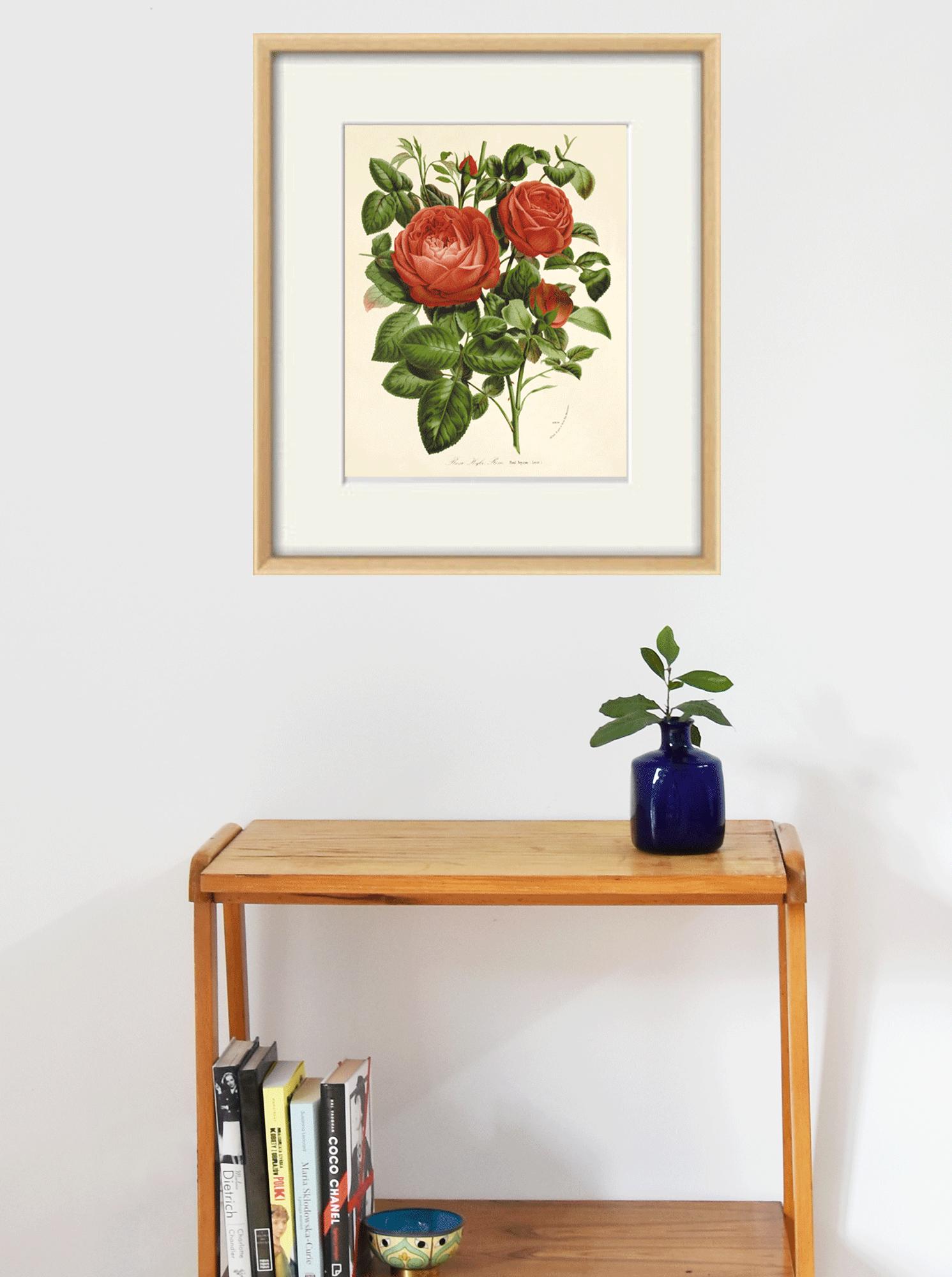 Antique Red Rose Print: Victorian Botanical Wall Art - Etsy