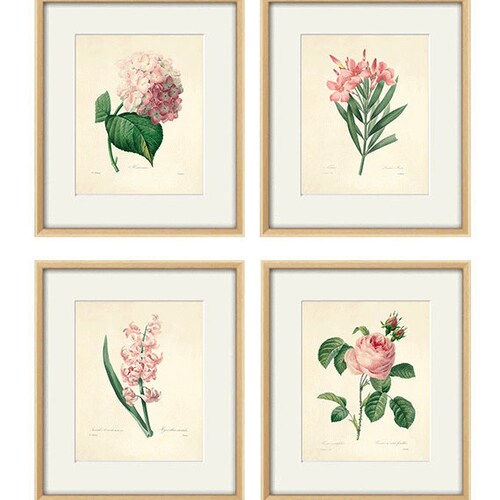 Antique Botanical Prints SET of 6 Botanical Art Prints Flower - Etsy
