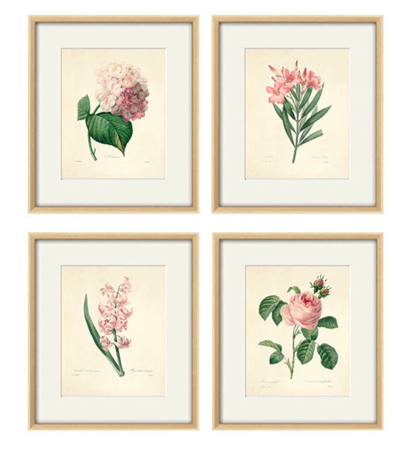 Botanical Print Set Of 6 Antique Beautiful 6DF