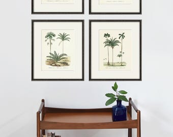 Antieke palmboomkunstprintset: Victoriaans botanisch muurdecor