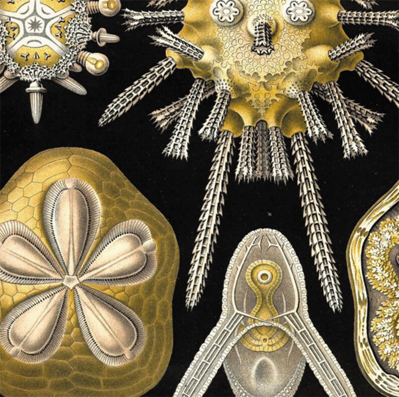 Nautical print Ocean art Ocean Decor Beach wall decor nature | Etsy