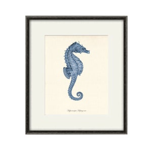 Seahorse art print Vintage Beach decor art  home decor wall art Ocean art Natural History sea life art antique prints nature print ocean art