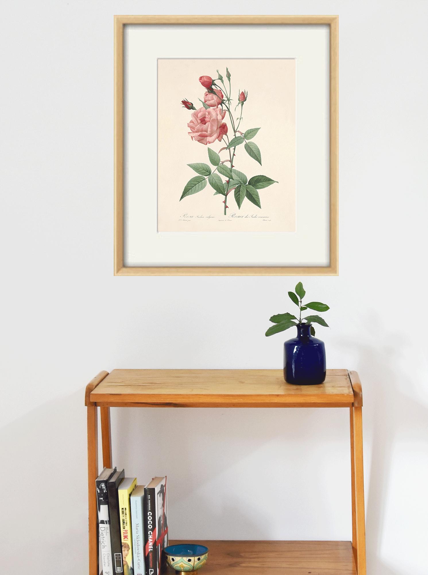 Antique Rose Print: Victorian Botanical Wall Art - Etsy