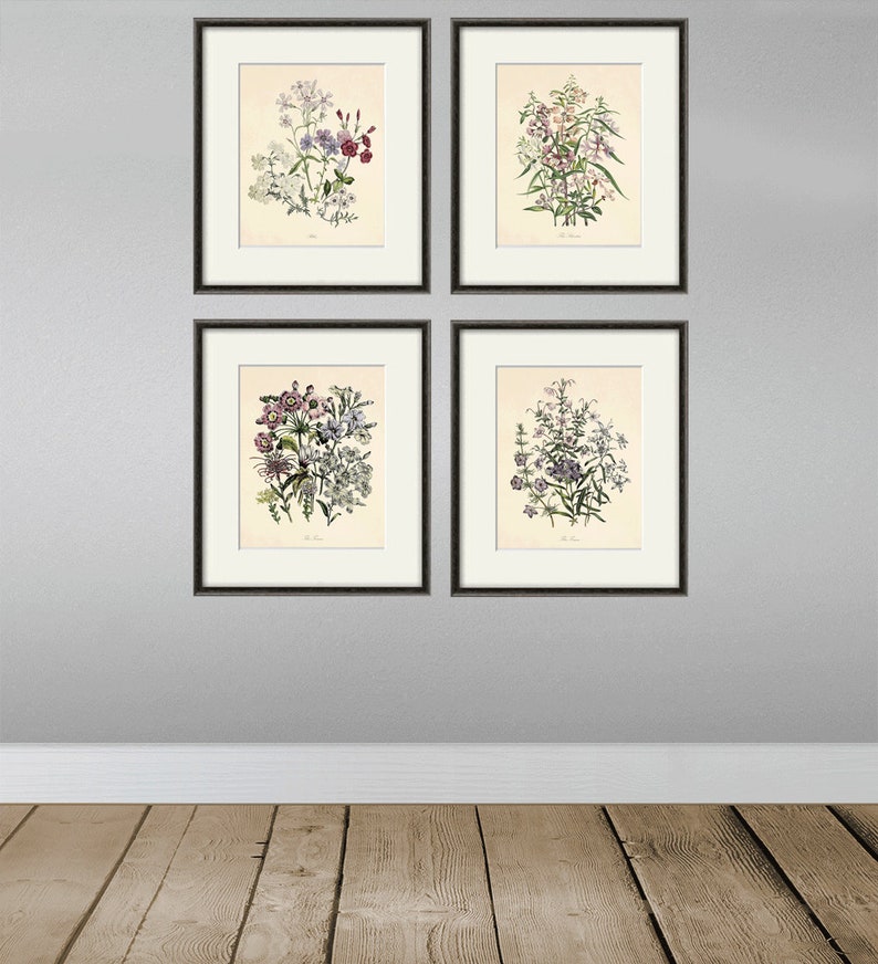 Antique Flower Art Print Set Antique Prints Pink Botanical Etsy
