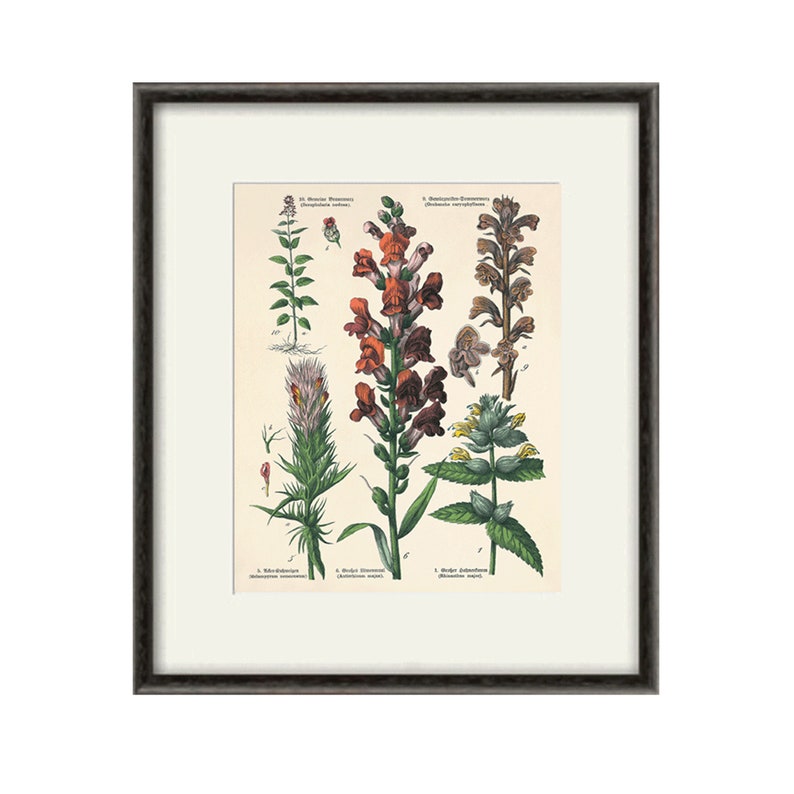 Antique flower print Cottage wall art flowers Victorian print Etsy