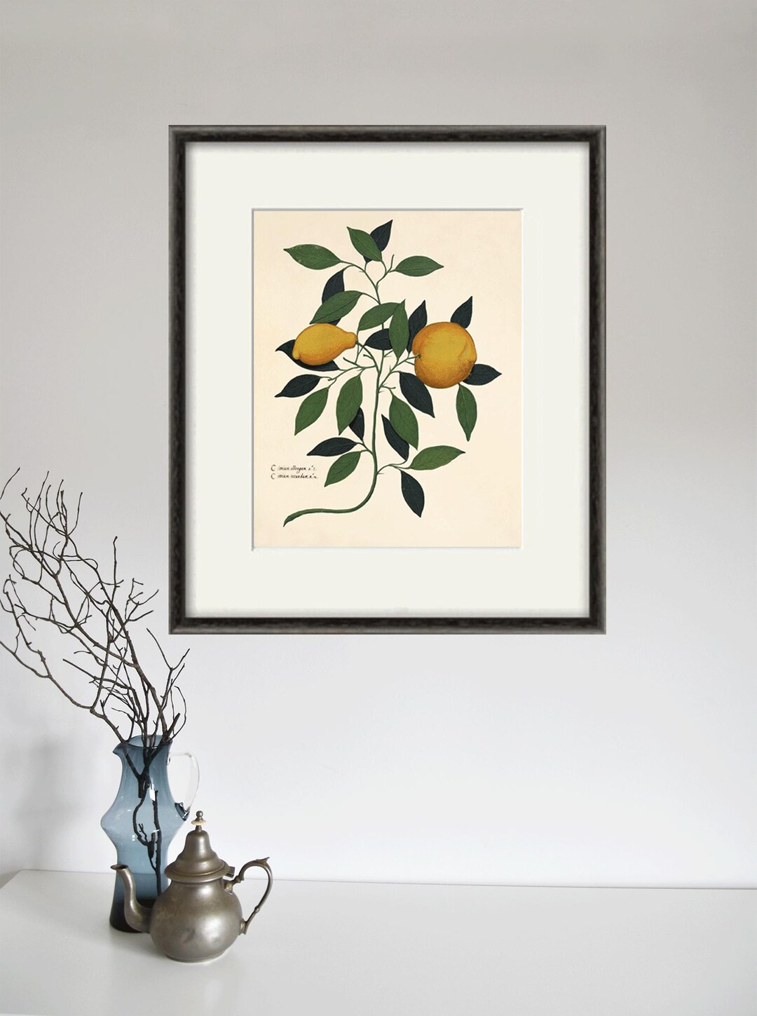 Lemon Art Print Kitchen Art Print Antique Botanical Art Prints Vintage ...