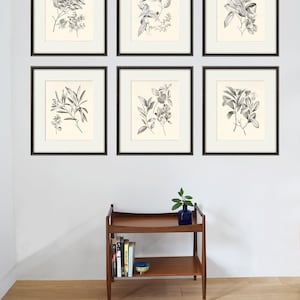 Antique botanical prints SET of 6 Botanical art prints flower prints wall art flowers botanical poster antique wall art home decor wall art