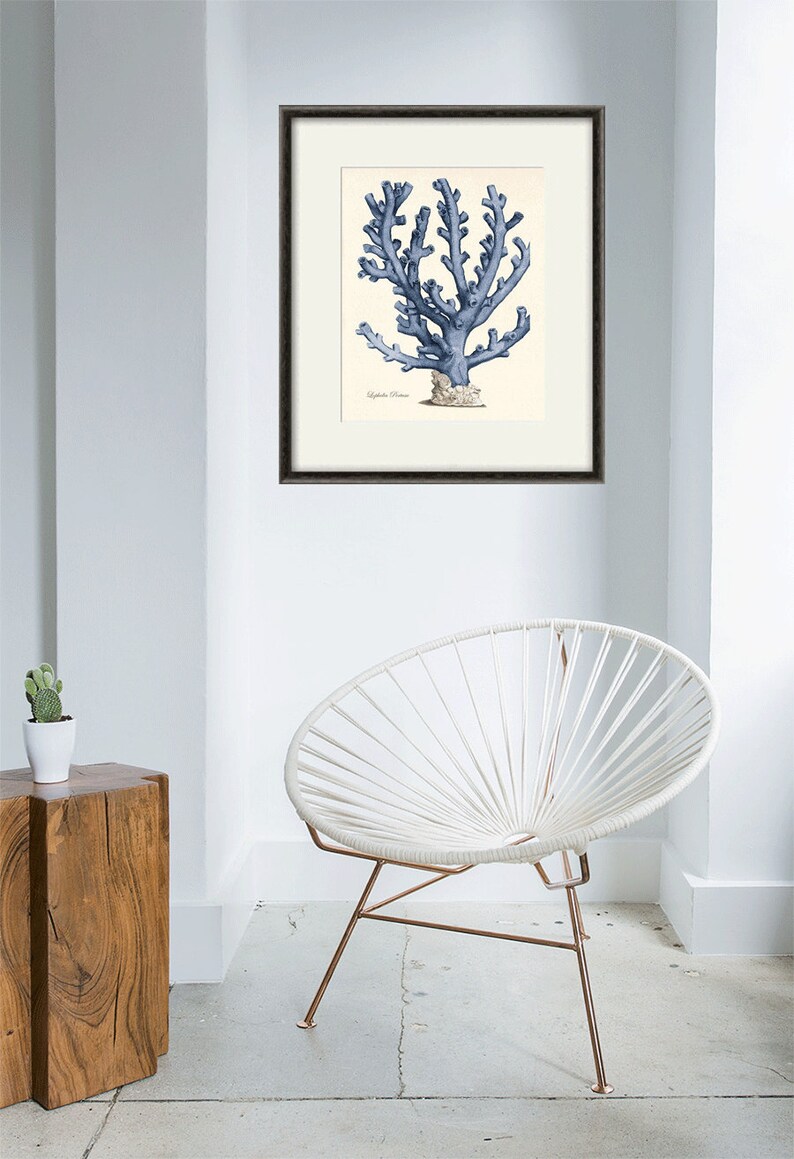 Sea Coral Art Print Vintage Sea Art Print Old Prints Ocean Etsy