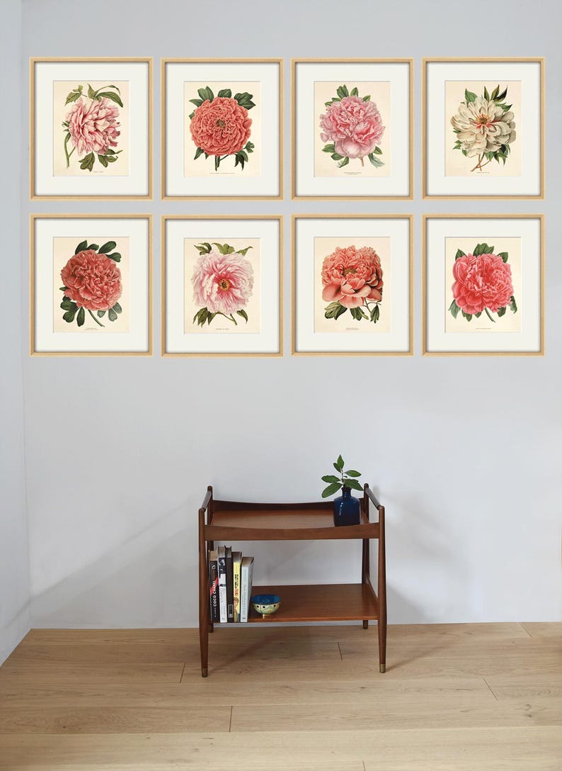May include: Eight framed botanical prints of pink peonies, arranged in a grid on a light gray wall. The prints are in gold frames and have a white background.