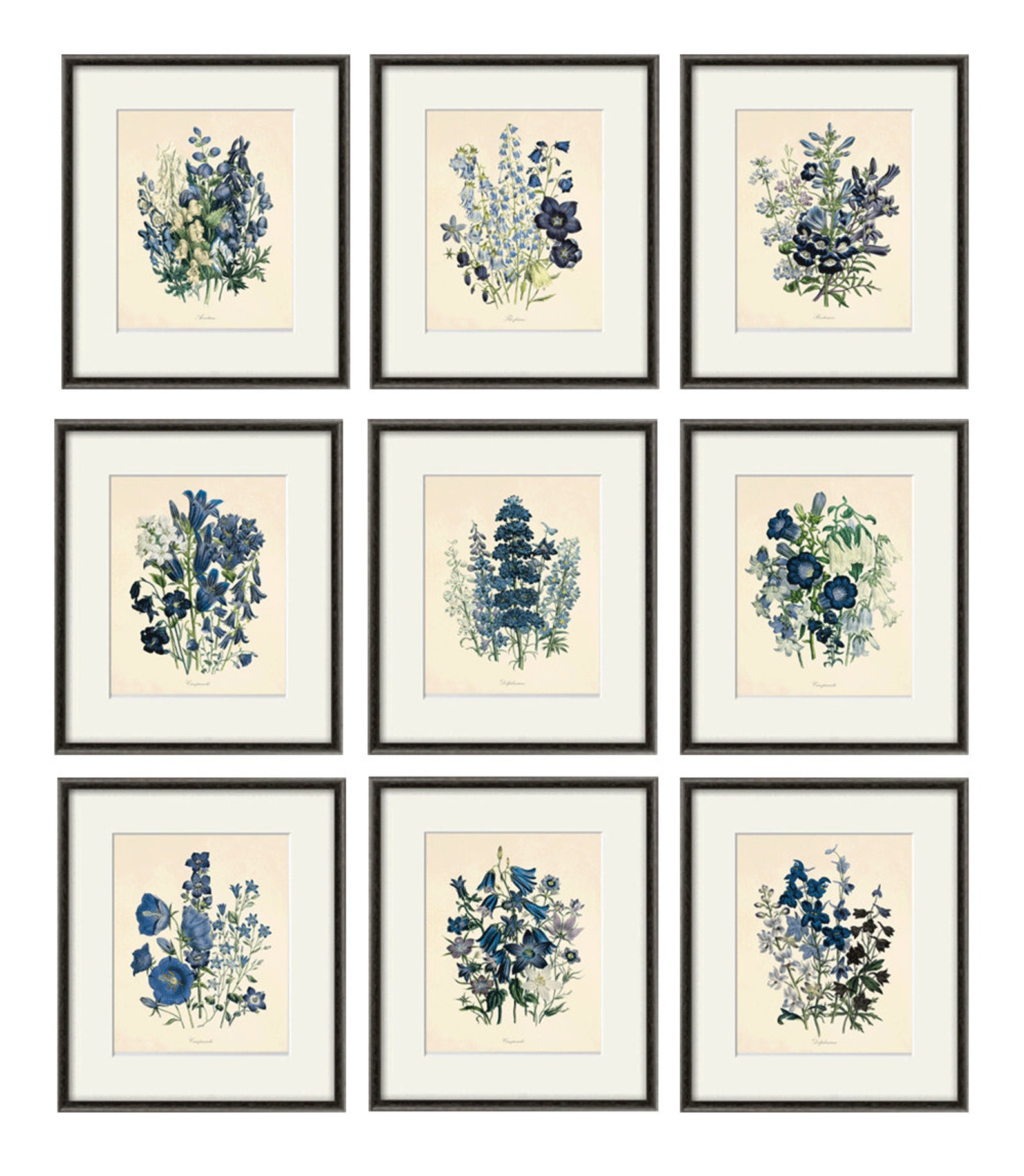 Blue Botanical Prints Vintage Flower Art Cottage Wall Art - Etsy