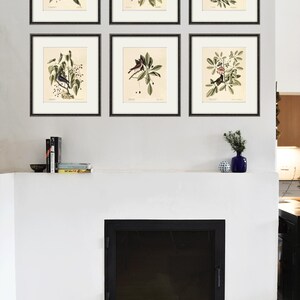 May include: Six framed botanical prints featuring detailed illustrations of birds perched on branches with leaves and berries. The prints are in black frames and arranged on a white wall above a fireplace. The artwork adds a touch of nature to the room.