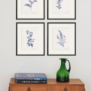 Antieke botanische prints SET van 4 botanische kunst wordt afgedrukt bloem wordt afgedrukt kunst aan de muur bloemen botanische poster antieke muur kunst home decor kunst aan de muur