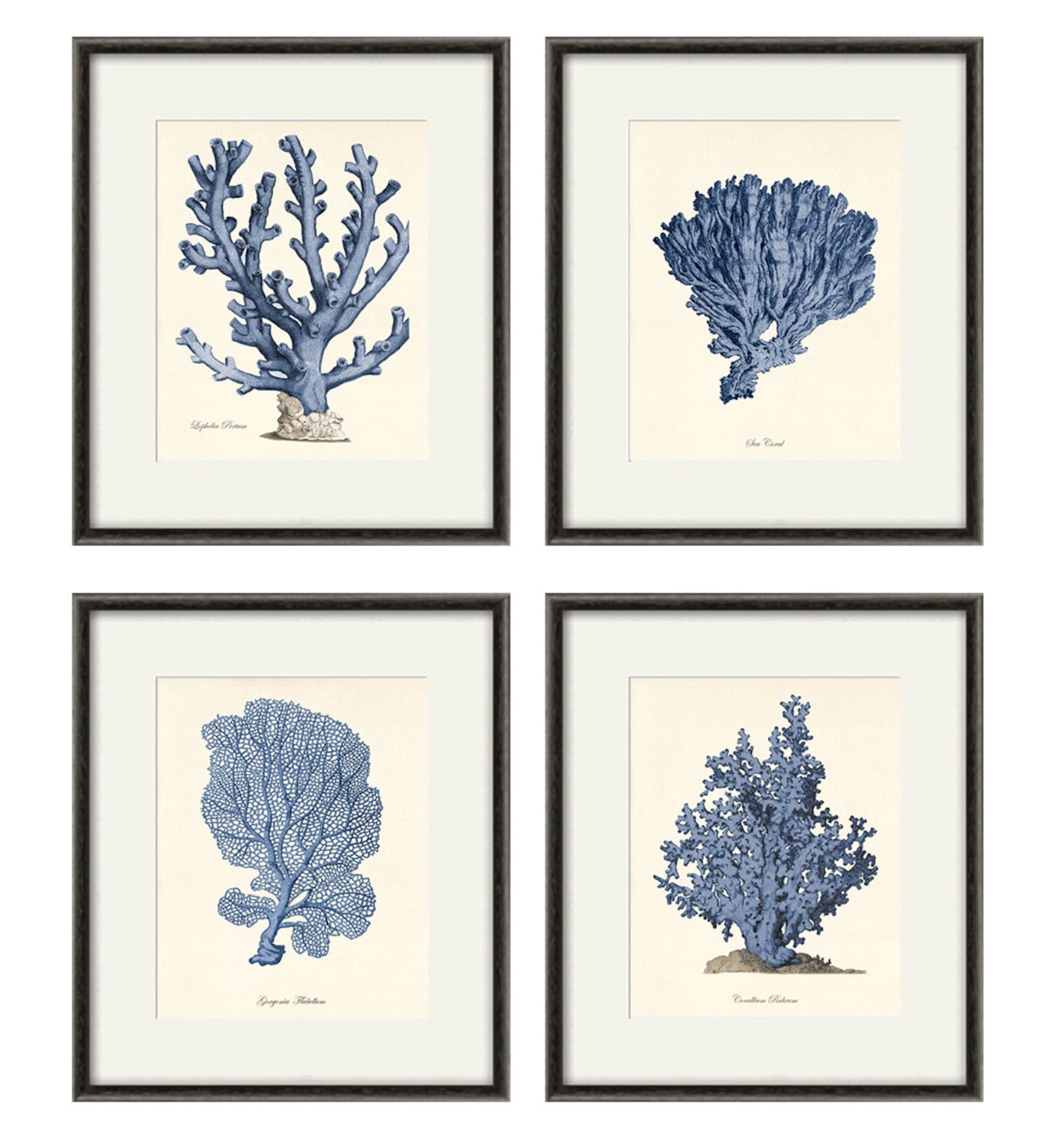 Blue Sea Coral Art Nautical Art Print Set Old Prints Ocean Etsy